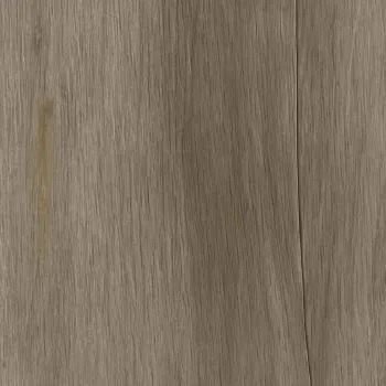 RF Richmond SPC Eco — Cappuccino